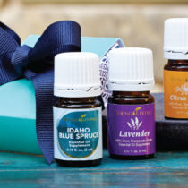 BalanceMiniCollection843x403