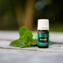 Home-Remedies-For-Pimples-Peppermint-Essential-Oil
